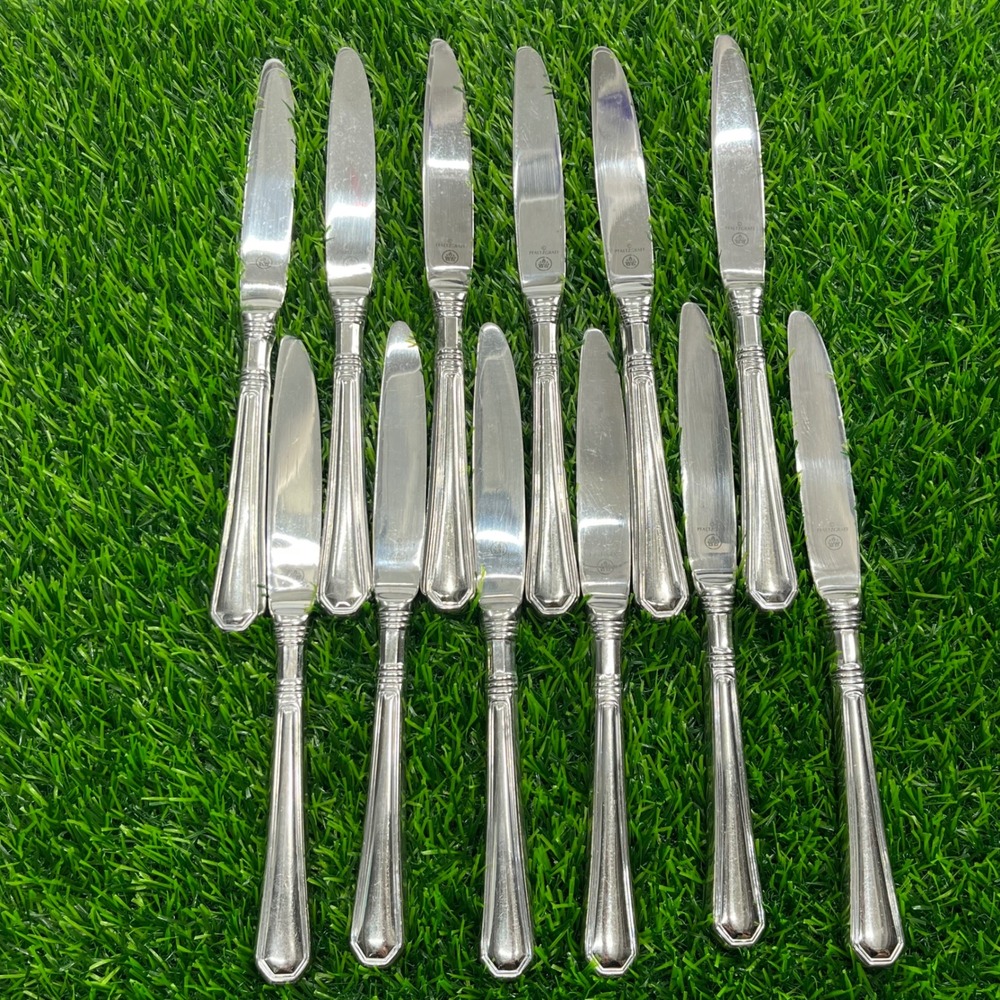 Pfaltzgraff Providence Stainless Steel Dinner Knives Set of 12 Silverware 9.25in